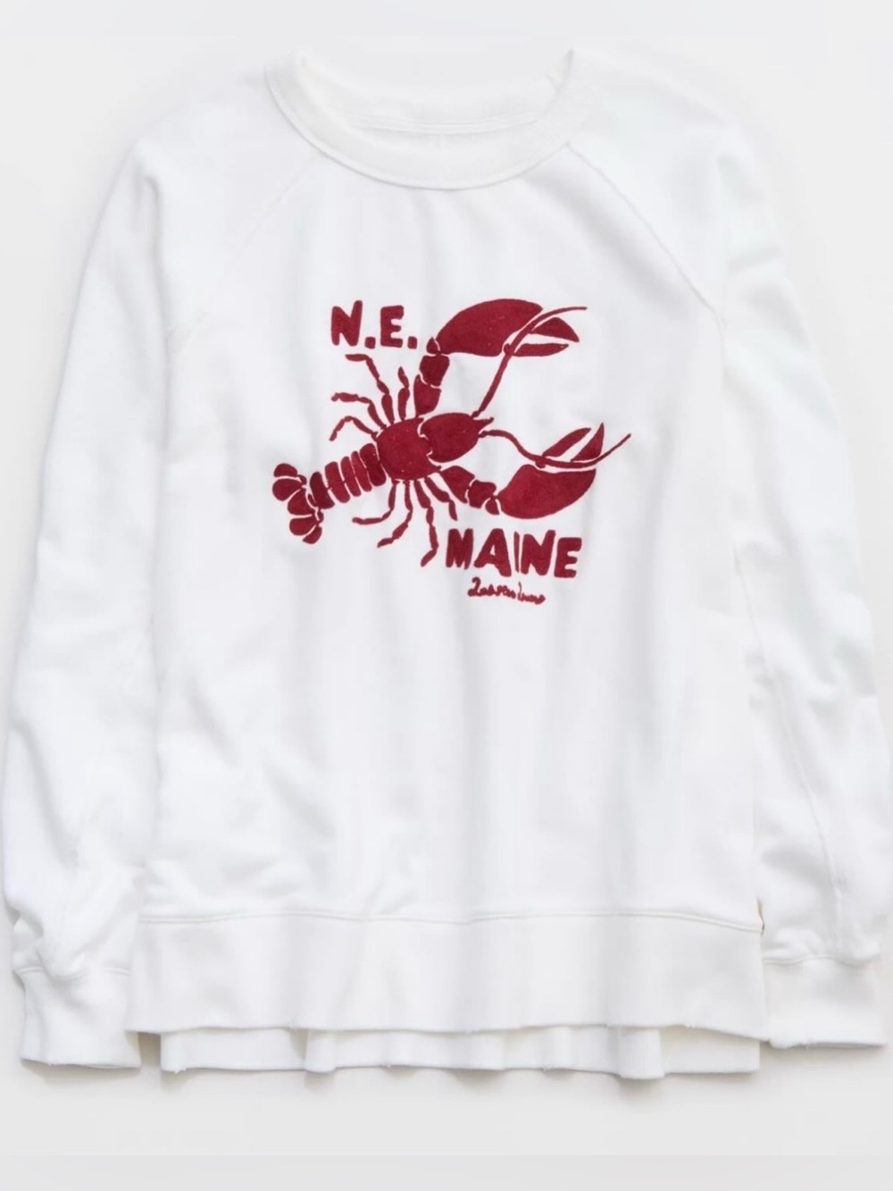 aerie - East West Crew Sweatshirt - NWT
